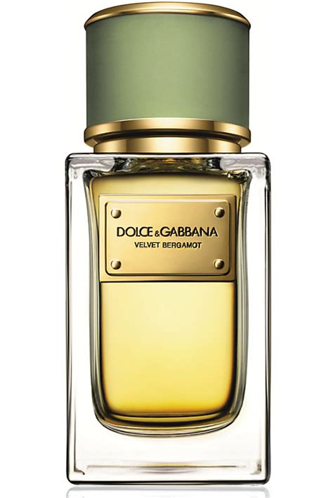 dolce and gabbana velvet bergamot.